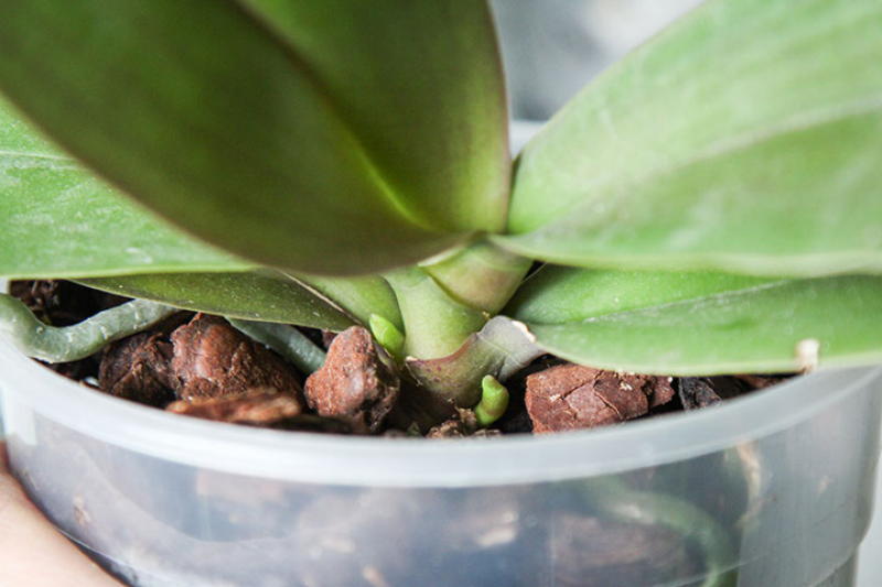 http://prolife.ru.com/wp-content/uploads/2019/03/5-4-1.jpg