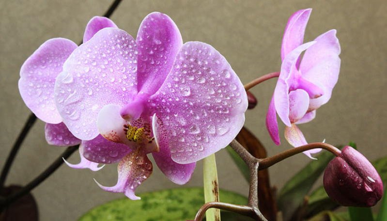 http://prolife.ru.com/wp-content/uploads/2019/03/8-3-1.jpg
