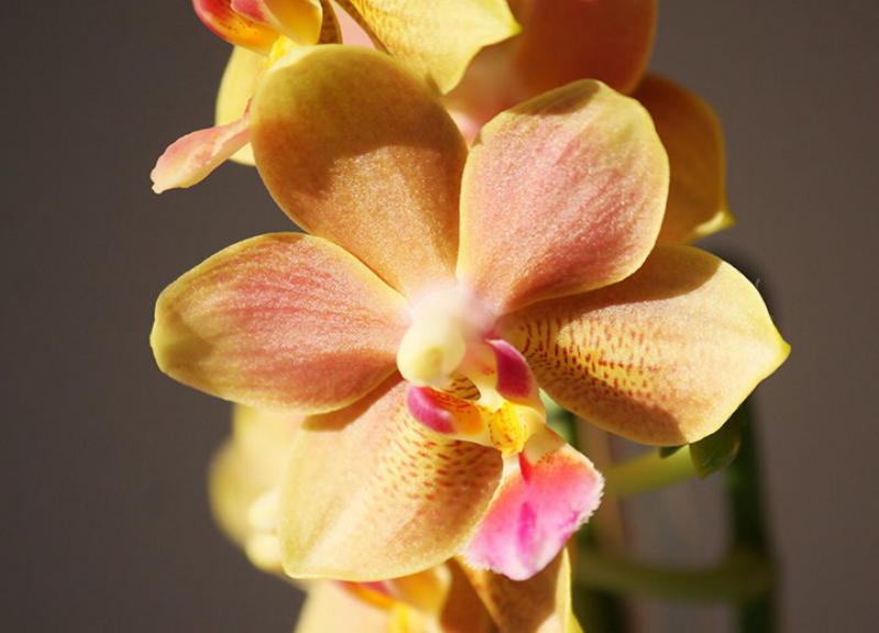 http://prolife.ru.com/wp-content/uploads/2019/03/9-3-1.jpg