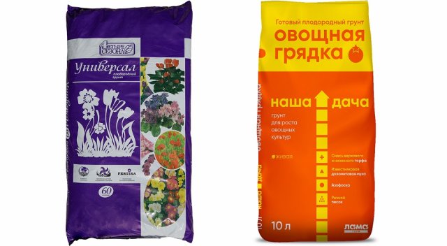 Как подготовить или улучшить почву для посева моркови