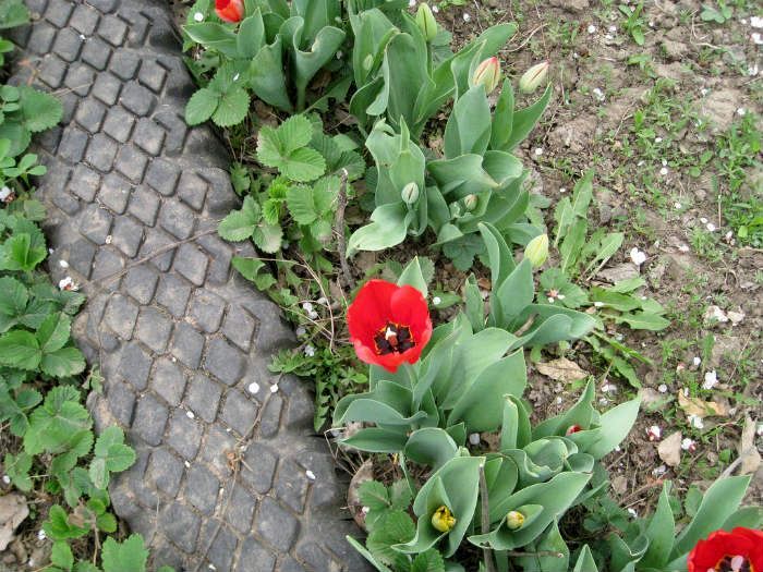 https://mainavi.ru/wp-content/uploads/2019/04/1434995817_112634980_nmn2yynmy.jpg