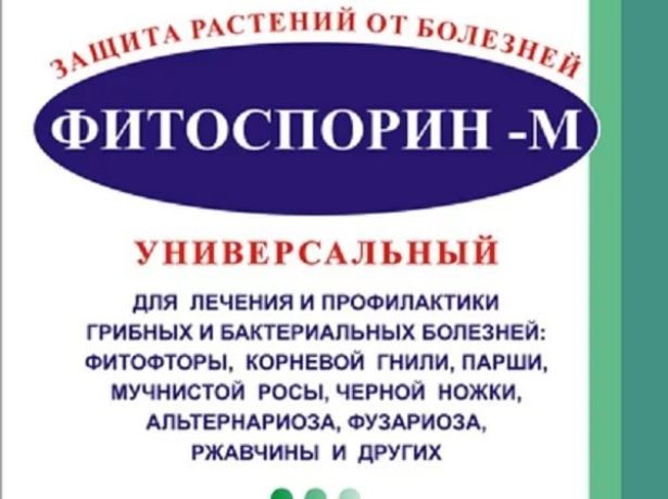 https://orchardo.ru/wp-content/uploads/2019/01/post_5c3db5ed4ca99-615x460.jpg