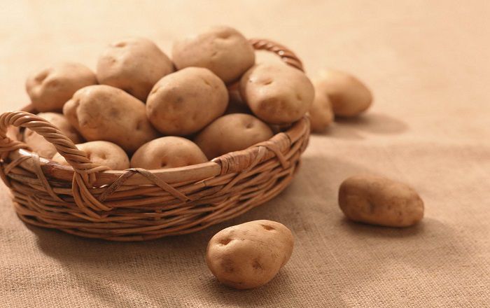 Целебные свойства картофеля