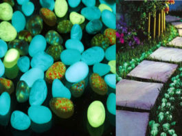 Светящиеся камни в саду