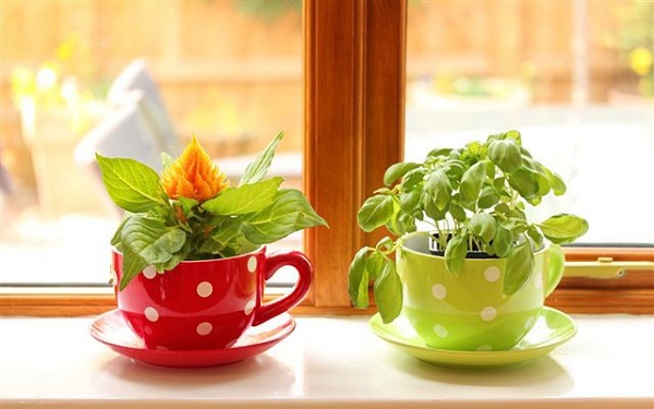 Свежесть зелени и трав круглый год: 15 идей для домашнего огорода на кухне