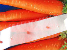 Семена моркови на туалетной бумаге или на ленте