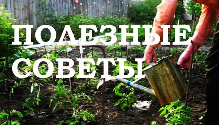10 практичных советов для садоводов