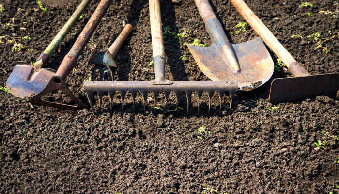 10 современных инструментов, которые облегчат работу в саду и огороде