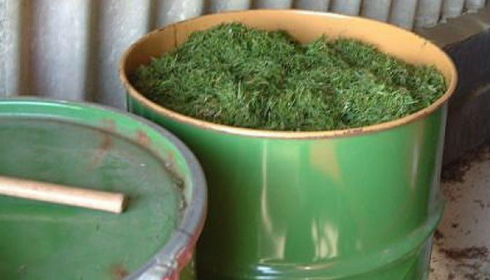 Как сделать зелёное удобрение из травы с водой в бочке