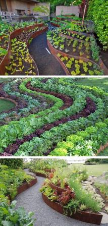 10 причин создать декоративный огород