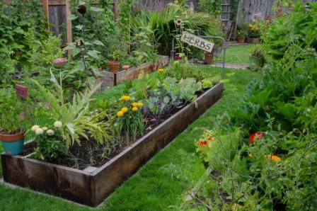 11 оригинальных идей для дачи о которых мечтает любой садовод