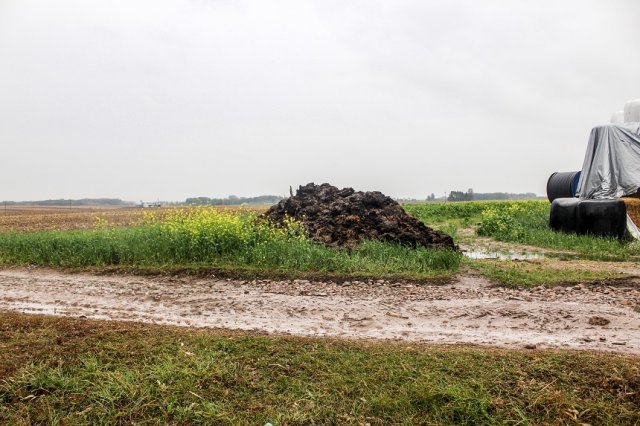 Колодец без нитратов: 10 шагов к чистой воде