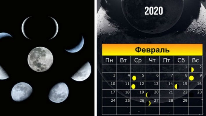 Календарь работ Фитостудия-63.ру