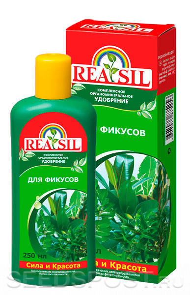 https://img.7dach.ru/image/600/16/80/76/2019/12/14/99bc85cea3.jpg