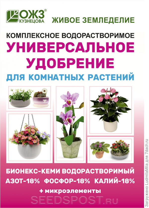 https://img.7dach.ru/image/600/16/80/76/2019/12/14/eabe5ee05b.jpg