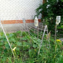 Есть варианты полива с подвешенными бутылками и закреплёнными в них медицинскими капельницами