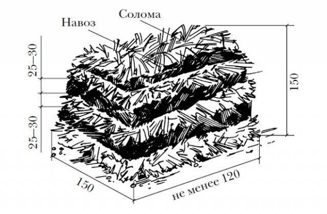 Схема приготовления компоста для шампиньонов