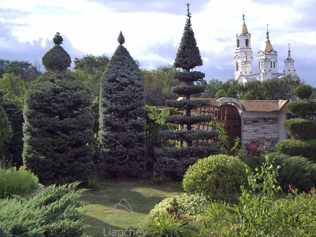 Владимир Ляпчев