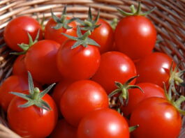 prostoe-narodnoe-sredstvo-chtoby-pomidory-bystro-rosli-i-xorosho-plodonosili