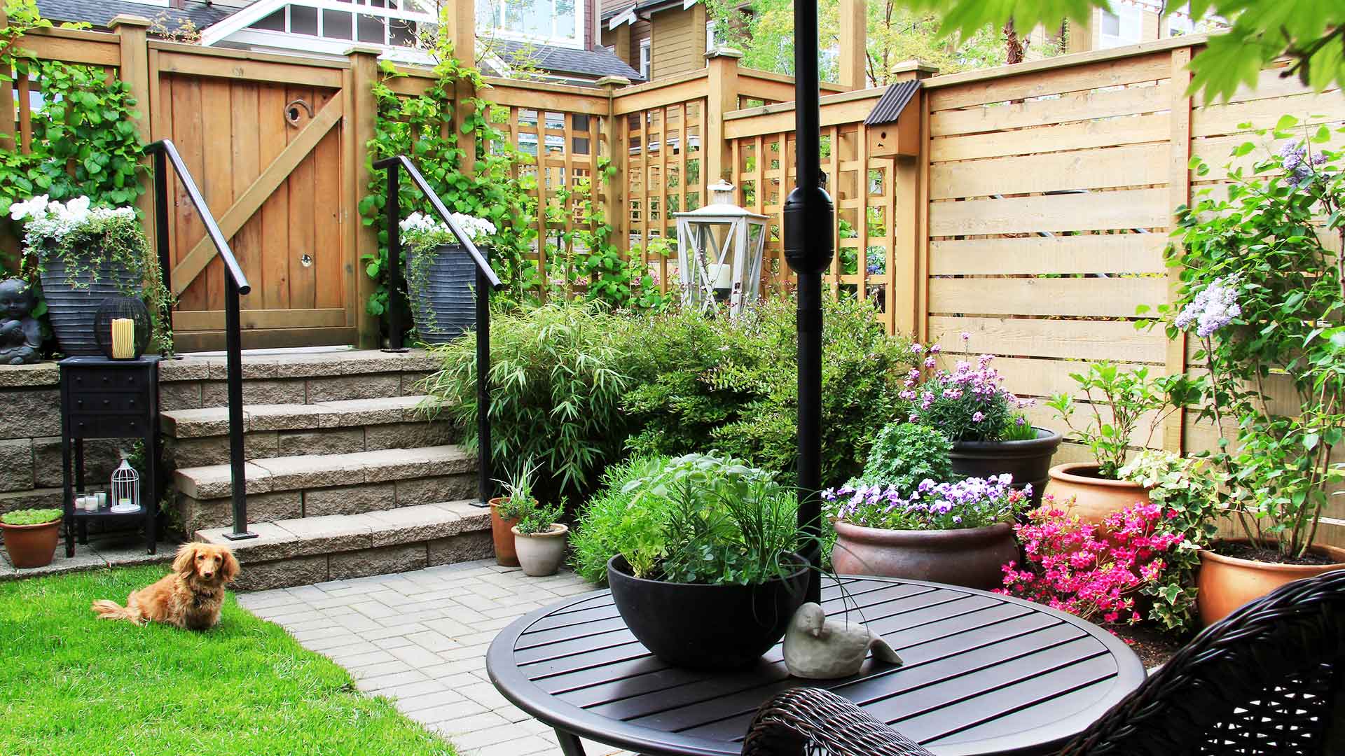 https://todayshomeowner.com/wp-content/uploads/2020/03/small-garden-fenced-in-with-dog-in-backyard-slider.jpg