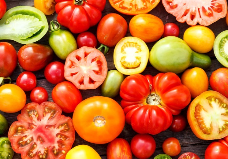 Как выбрать хороший сорт томатов
