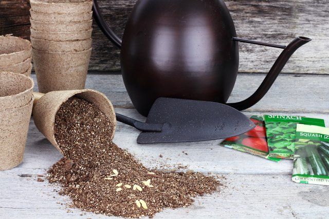 Rustic table with flower pots, potting soil, trowel and vegetable seeds. 