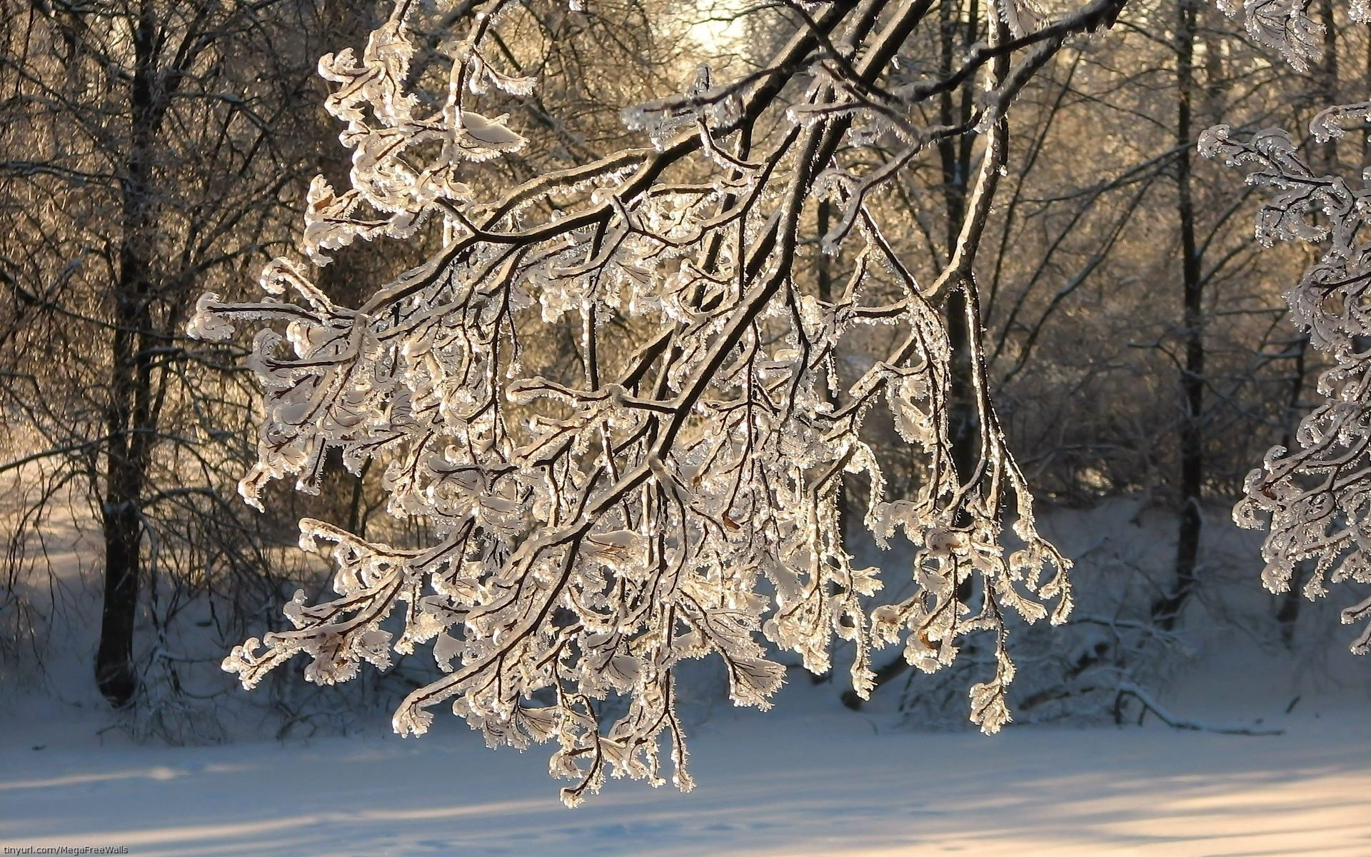 https://wallpaperscave.ru/images/original/18/02-20/earth-seasons-winter-19351.jpg