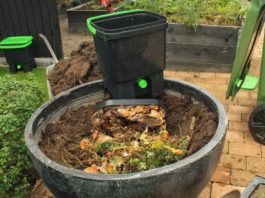 kompost-v-kvartire-gotovim-udobrenie-i-soxranyaem-ekologiyu